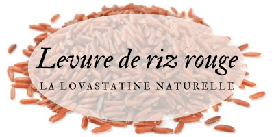 La levure de riz rouge anticholestérol